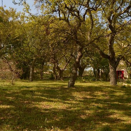 Par Tot Guest House Локоротондо Екстериор снимка