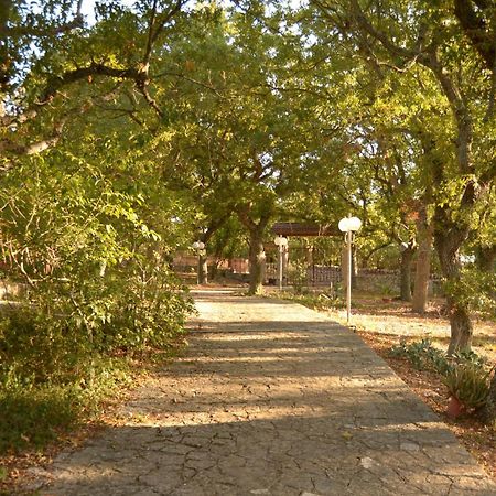 Par Tot Guest House Локоротондо Екстериор снимка