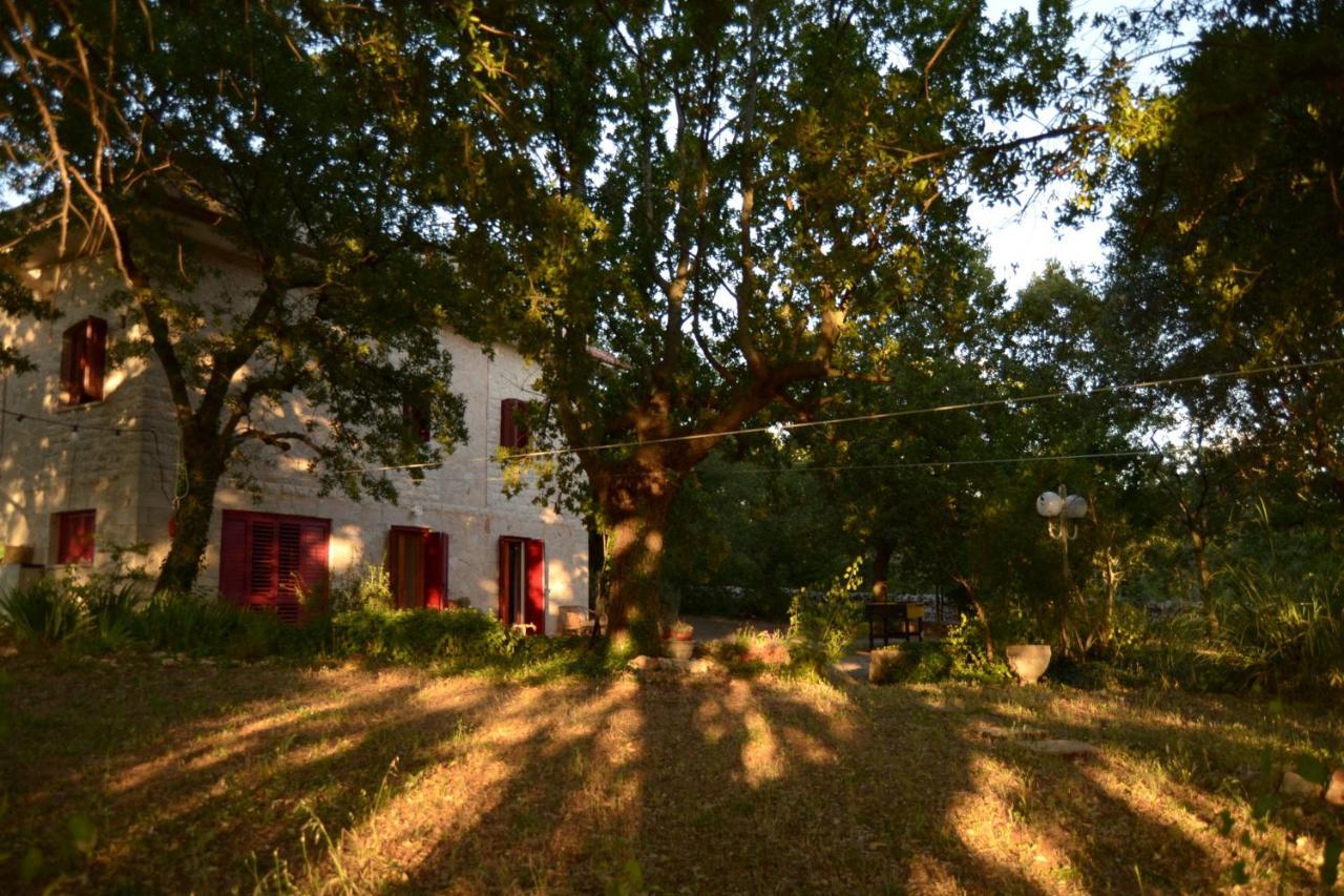 Par Tot Guest House Локоротондо Екстериор снимка
