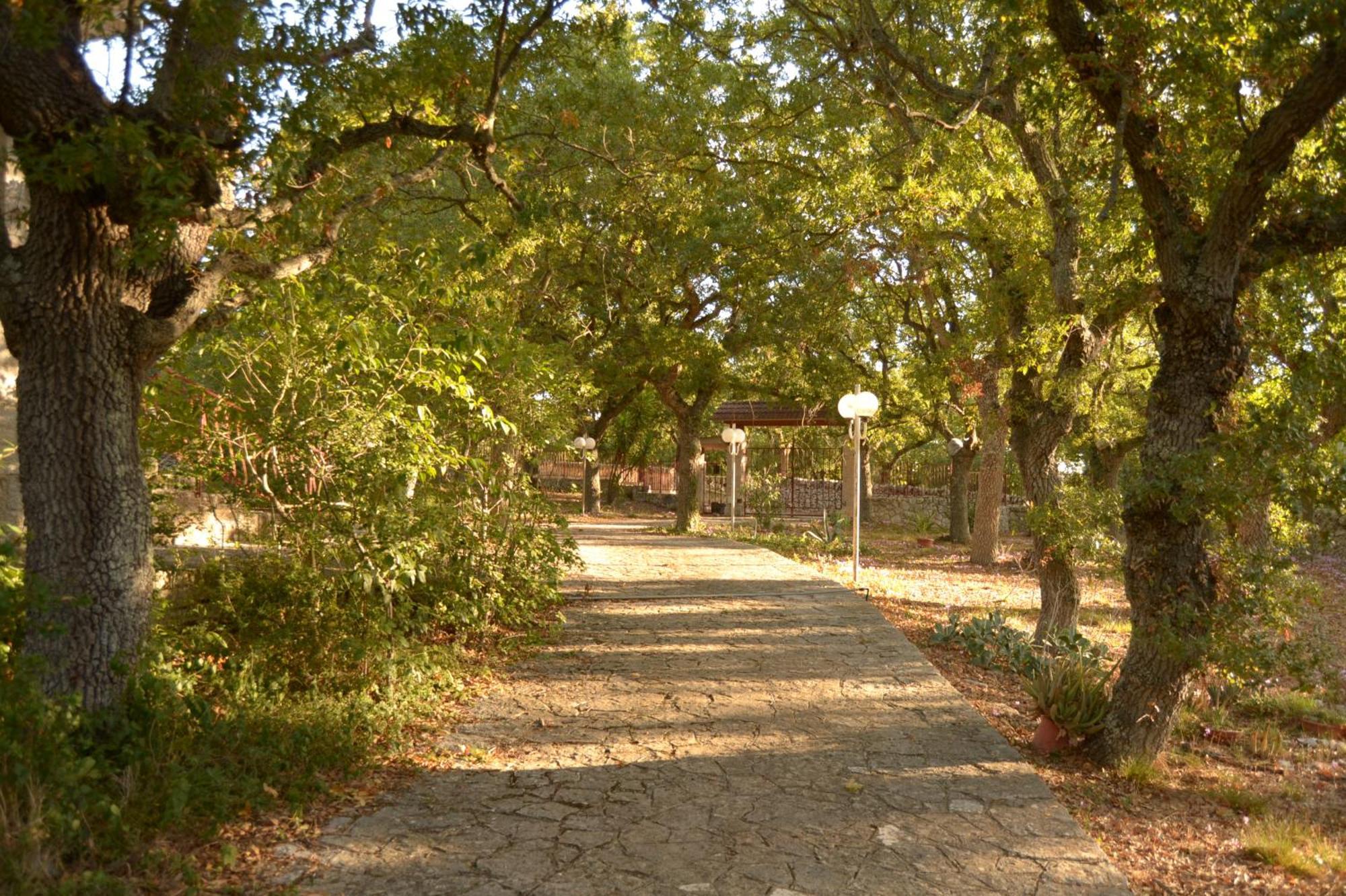 Par Tot Guest House Локоротондо Екстериор снимка