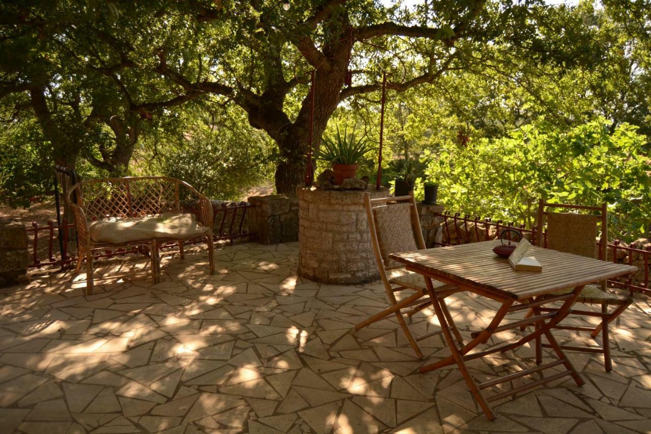 Par Tot Guest House Локоротондо Екстериор снимка