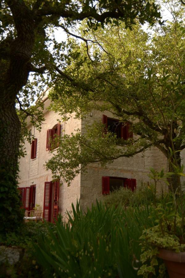 Par Tot Guest House Локоротондо Екстериор снимка